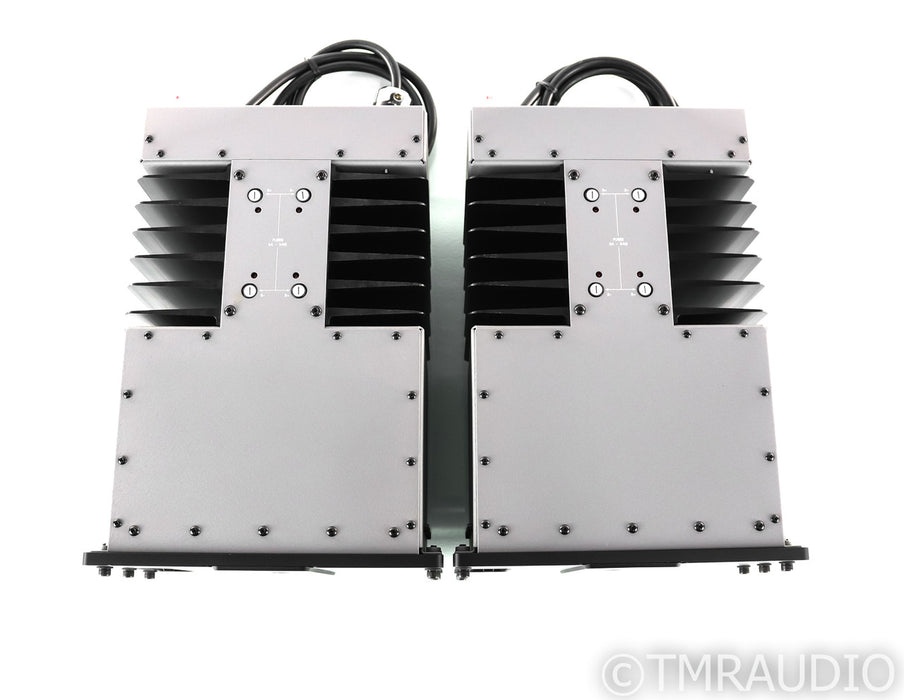 Spread Spectrum Technologies Ampzilla 2000 2nd Edition Mono Power Amplifier