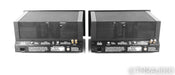 VTL MB-125 Tube Mono Power Amplifier