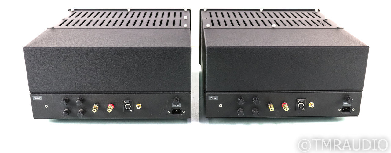 Wavestream Kinetics Boxter M100 Mono Tube Power Amplifier