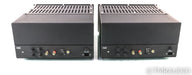 Wavestream Kinetics Boxter M100 Mono Tube Power Amplifier