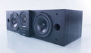 Meridian DSP 5000C Digital Powered Center Channel Speaker
