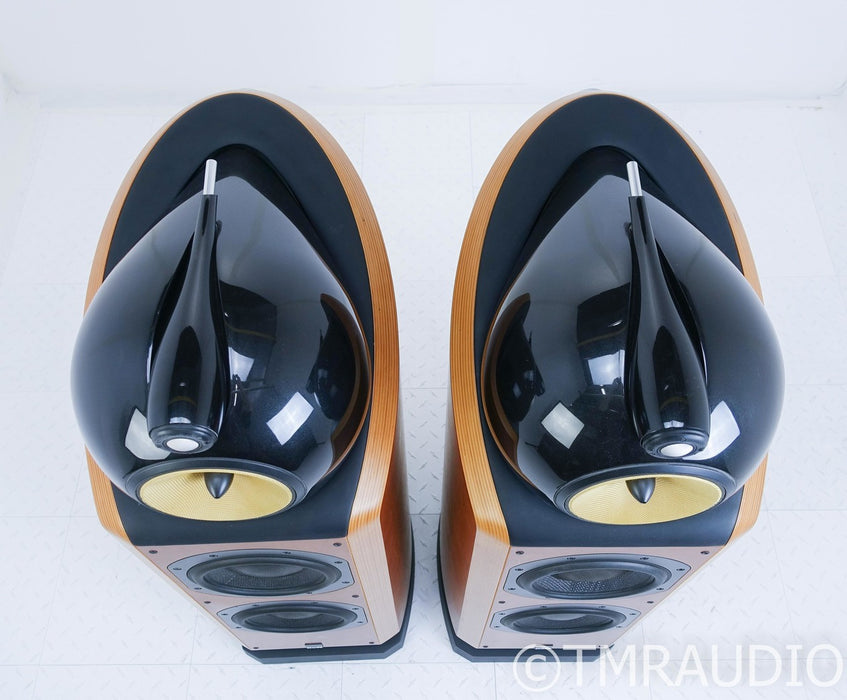 B&W 802D Floorstanding Speakers