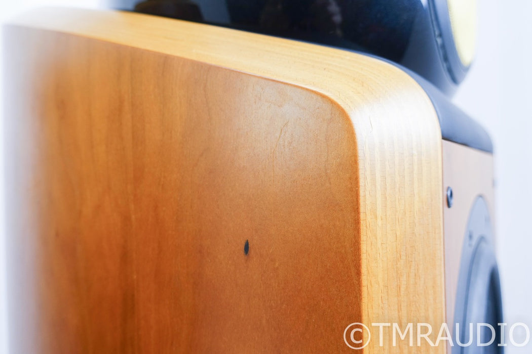 B&W 802D Floorstanding Speakers