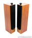 B&W P6 Floorstanding Speakers