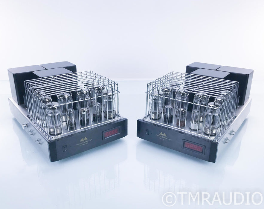 Antique Sound Lab Hurricane DT Tube Mono Power Amplifier