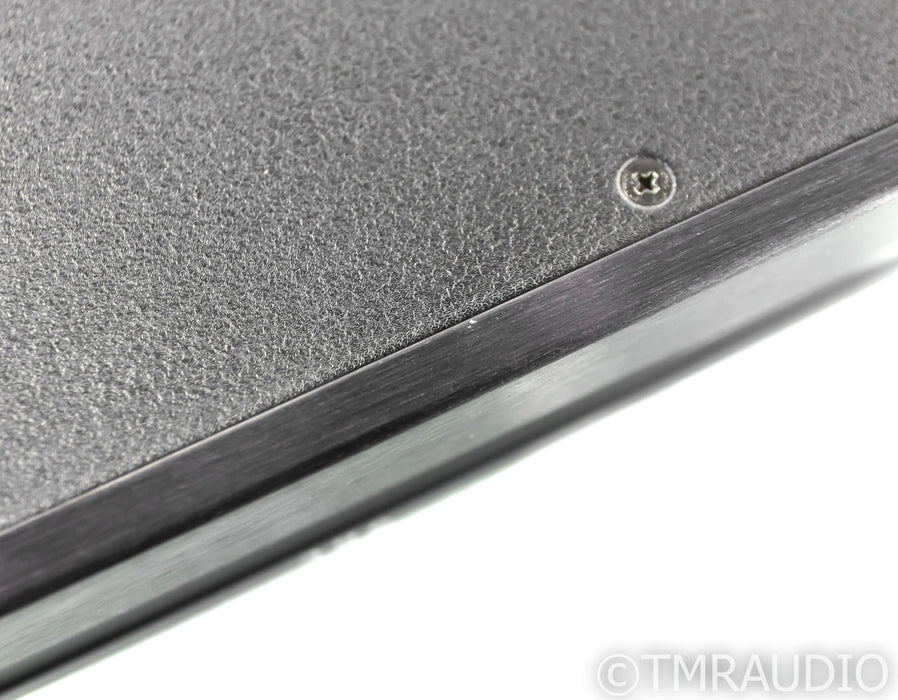 Theta Digital Chroma 396 DAC; D/A Converter; HDCD (No Optical In)