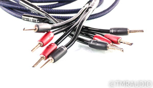 AudioQuest Type 4 Speaker Cables; 10ft Pair
