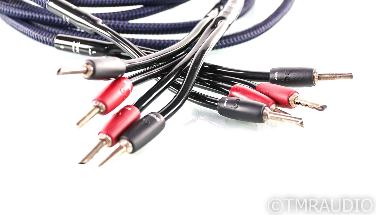 AudioQuest Type 4 Speaker Cables; 10ft Pair