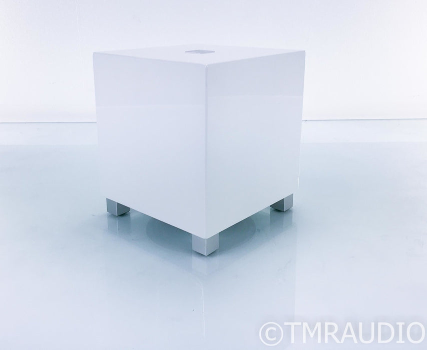 REL T5 8" Powered Subwoofer; Gloss White; T-5