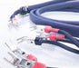 AudioQuest Wild Wood Bi-Wire Speaker Cables; 72v DBS; 8ft. Pair