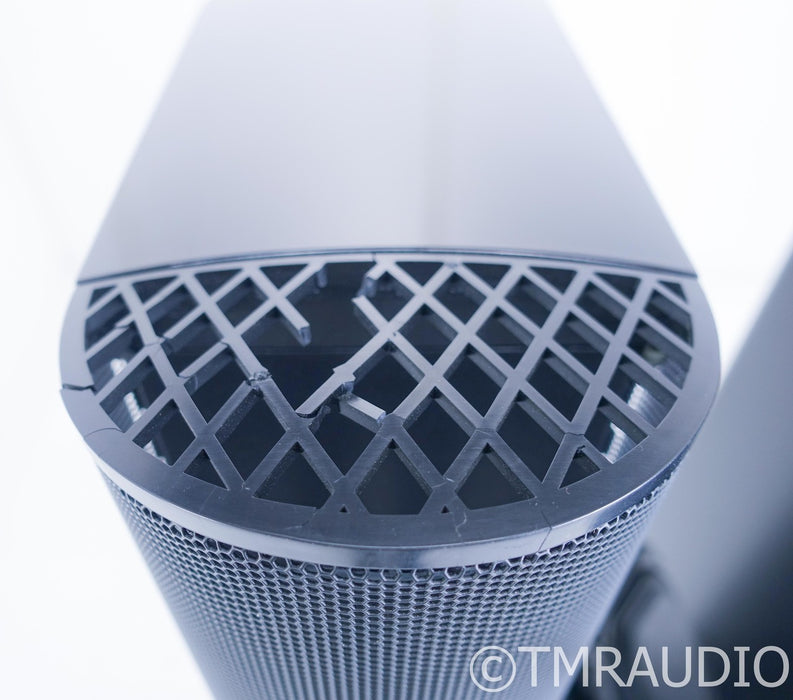 GoldenEar Triton One Floorstanding Speakers