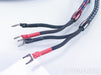 AudioQuest CV-6 Bi-Wire Speaker Cables; Type 6; 10ft Pair; 24V DBS