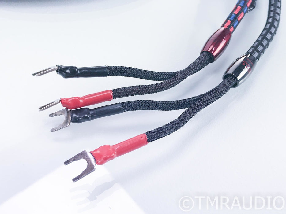 AudioQuest CV-6 Bi-Wire Speaker Cables; Type 6; 10ft Pair; 24V DBS