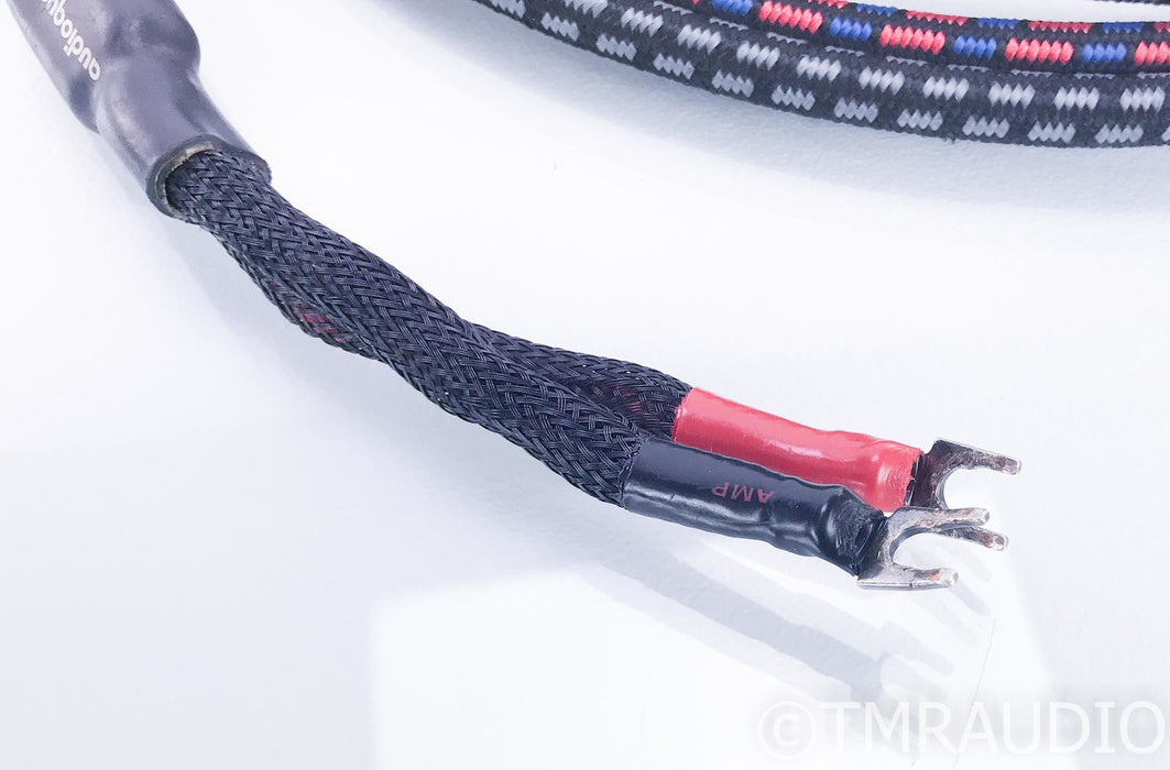 AudioQuest CV-6 Bi-Wire Speaker Cables; Type 6; 10ft Pair; 24V DBS