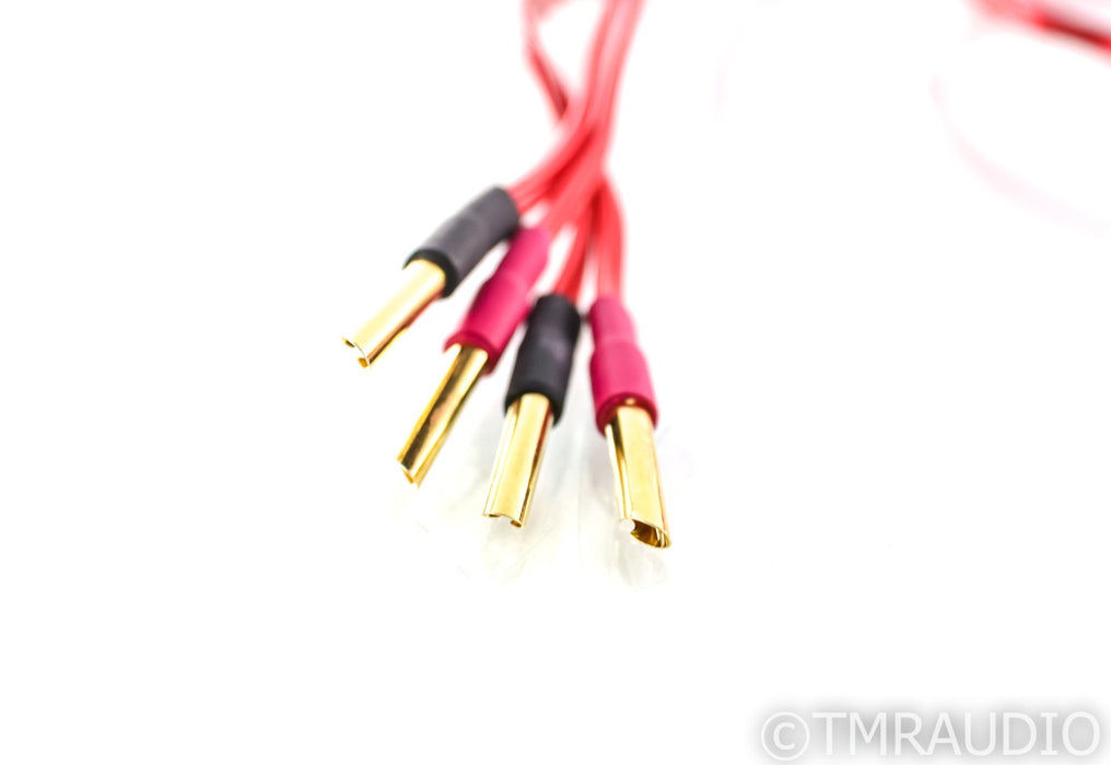Anticables Level 3.1 Speaker Cables; 10ft Pair