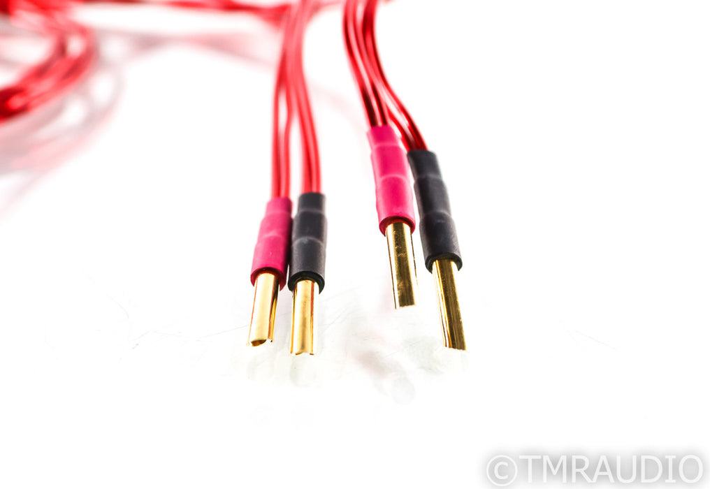Anticables Level 3.1 Speaker Cables; 10ft Pair