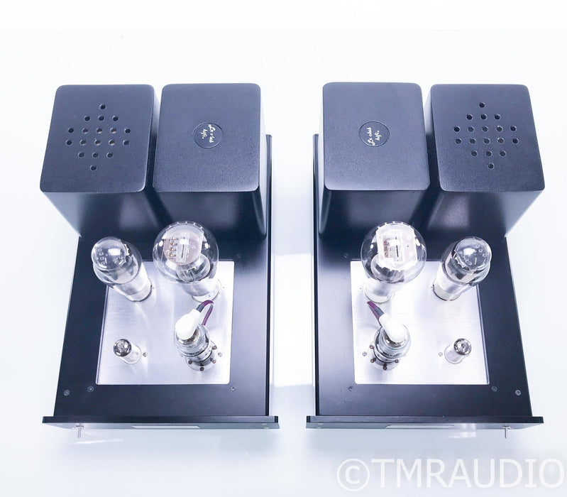 DIY Hifi Supply Lux 91 Mono Max Mono Tube Power Amplifier