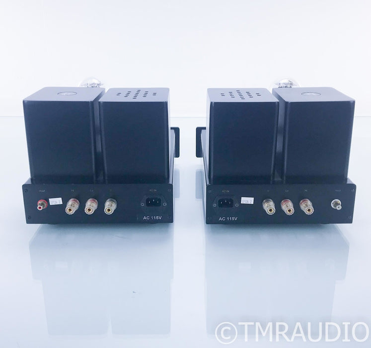 DIY Hifi Supply Lux 91 Mono Max Mono Tube Power Amplifier