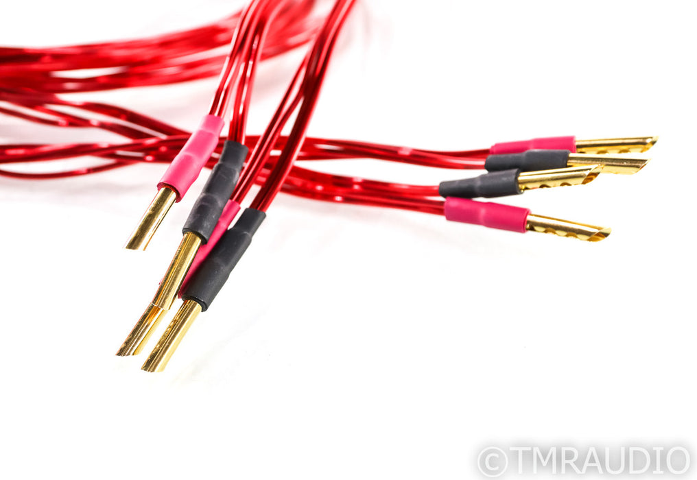 Anticables Level 3.1 Speaker Cables; 10ft Pair
