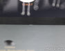 PrimaLuna ProLogue Five Stereo Tube Power Amplifier; Pro-Logue 5