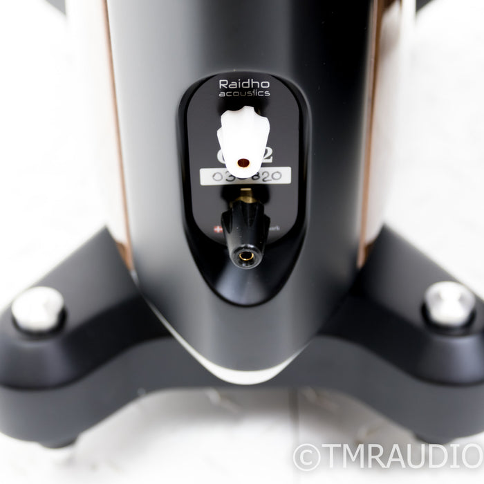 Raidho C3.2 Floorstanding Speakers