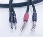 AudioQuest Meteor Speaker Cables; 2.5m Pair; 72v DBS