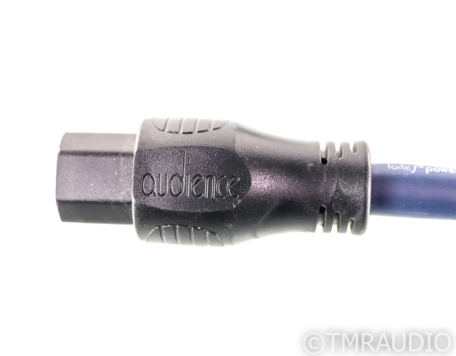 Audience Forte F3 Power Cable; 6ft AC Cord