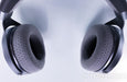Focal Clear Open Back Headphones; Grey (New / Open Box)