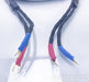 Kubala-Sosna Fascination Speaker Cables; 3m Pair
