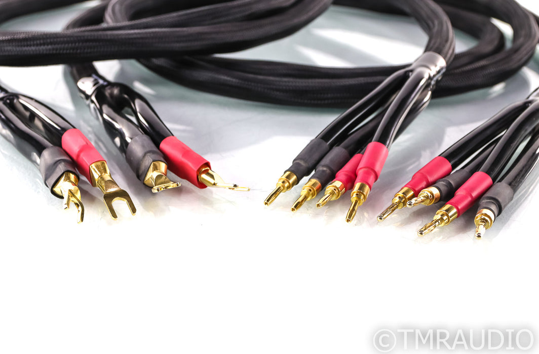 Tara Labs RSC Reference BiWire Speaker Cables; 12ft Pair