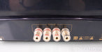 PrimaLuna DiaLogue Seven Mono Tube Power Amplifier