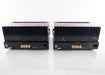 PrimaLuna DiaLogue Seven Mono Tube Power Amplifier
