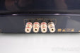 PrimaLuna DiaLogue Seven Mono Tube Power Amplifier