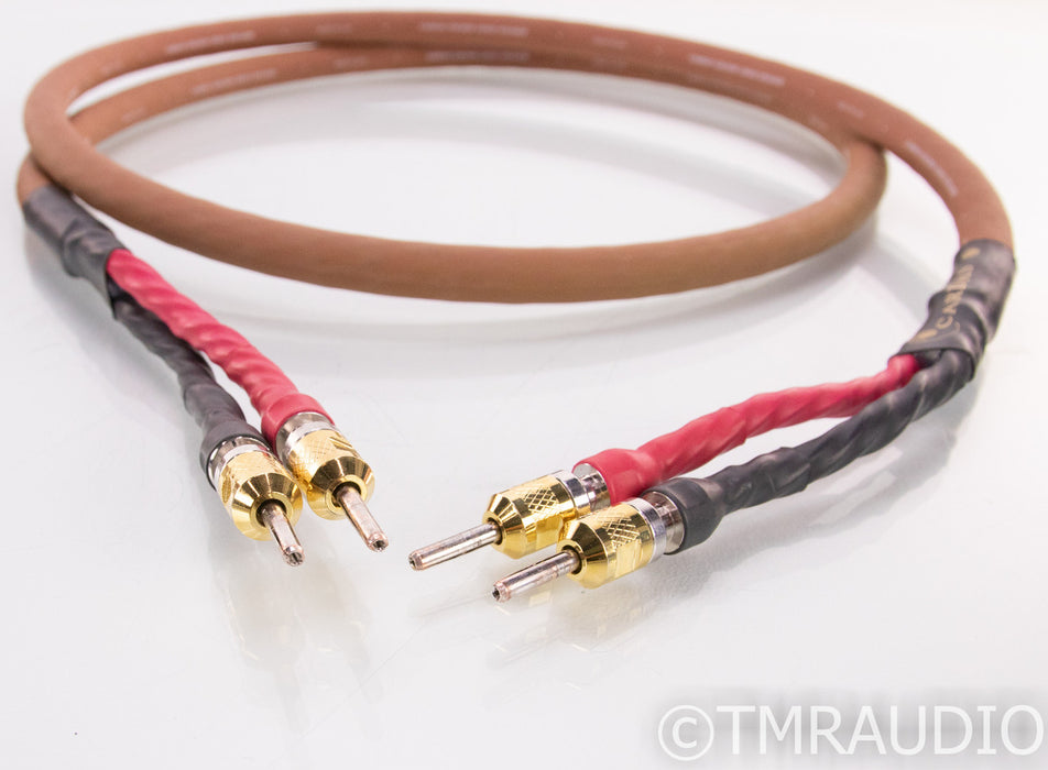 Cardas Golden Cross Speaker Cables; 2m Pair