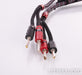 Audioquest CV-8 Speaker Cables; CV8; 10ft Pair; 72v DBS