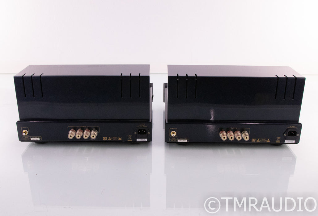 PrimaLuna DiaLogue Six Mono Tube Power Amplifier