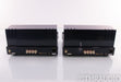 PrimaLuna DiaLogue Six Mono Tube Power Amplifier
