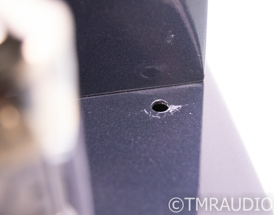 PrimaLuna DiaLogue Six Mono Tube Power Amplifier