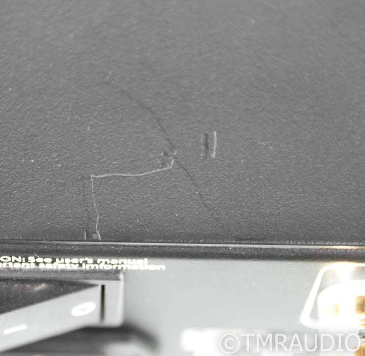 Bel Canto e.One Ref 1000 Mono Power Amplifier