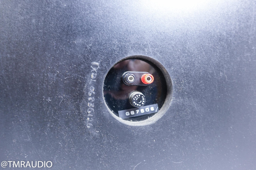 Fried G/3 Vintage Floorstanding Speakers