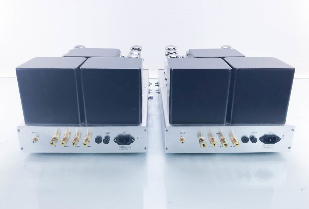 Antique Sound Lab Hurricane DT Tube Mono Power Amplifier