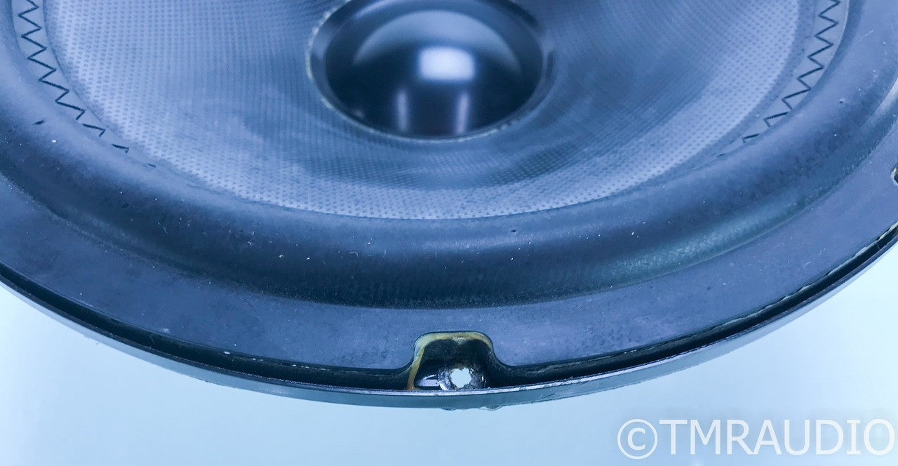 Mirage 4DR51789 10" Low Frequency Driver / Woofer; P92A2; Single