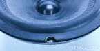Mirage 4DR51789 10" Low Frequency Driver / Woofer; P92A2; Single