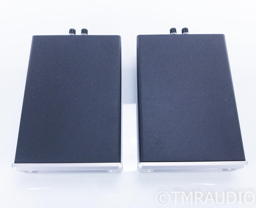 Bel Canto e.One REF600M Mono Power Amplifier