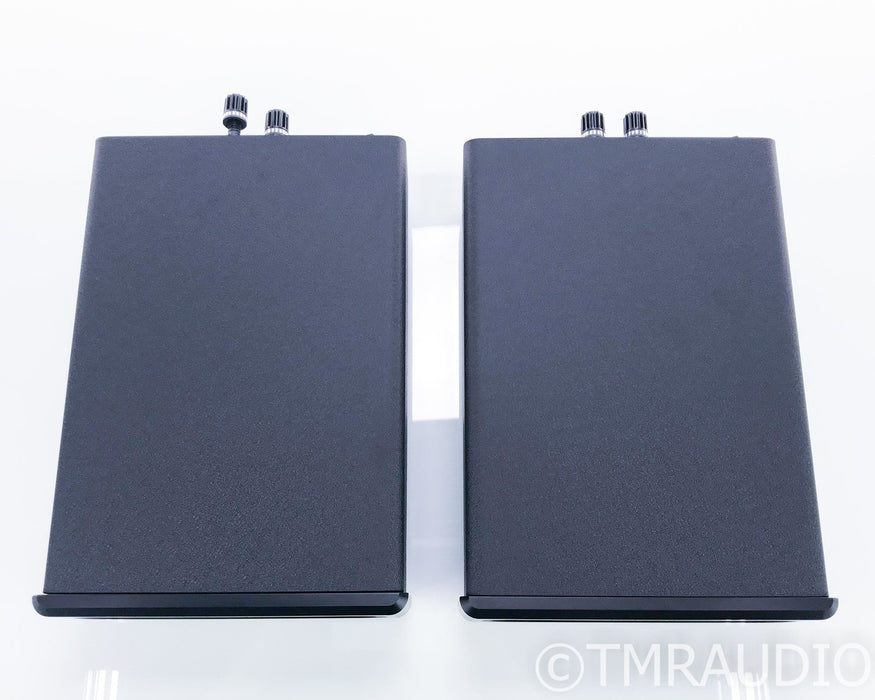 Bel Canto e.One Ref600M Mono Power Amplifier