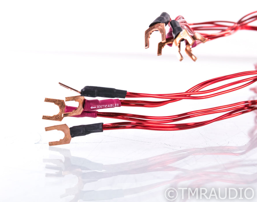 Anticables Level 3.1 Speaker Cables; 10ft Pair