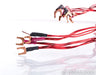 Anticables Level 3.1 Speaker Cables; 10ft Pair