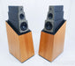 Vandersteen Model 5 Floorstanding Speakers w/ Active Bass