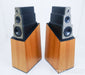 Vandersteen Model 5 Floorstanding Speakers w/ Active Bass