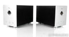 Vincent SP-T700 Mono Tube Power Amplifier